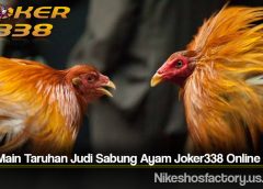 Cara Main Taruhan Judi Sabung Ayam Joker338 Online